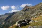Maronisammeln im Tessin